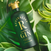 Global Package custom spirit bottle design for Revivalist Gin
